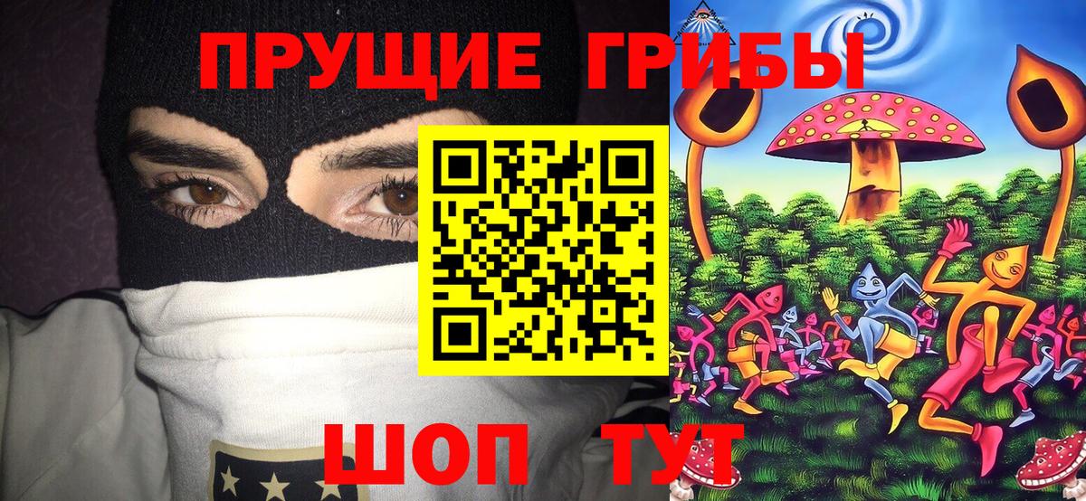 Псилоцибиновые грибы MAGIC MUSHROOMS  Вход с VPN  Кудымкар  Псилоцибиновые грибы ЛСД 